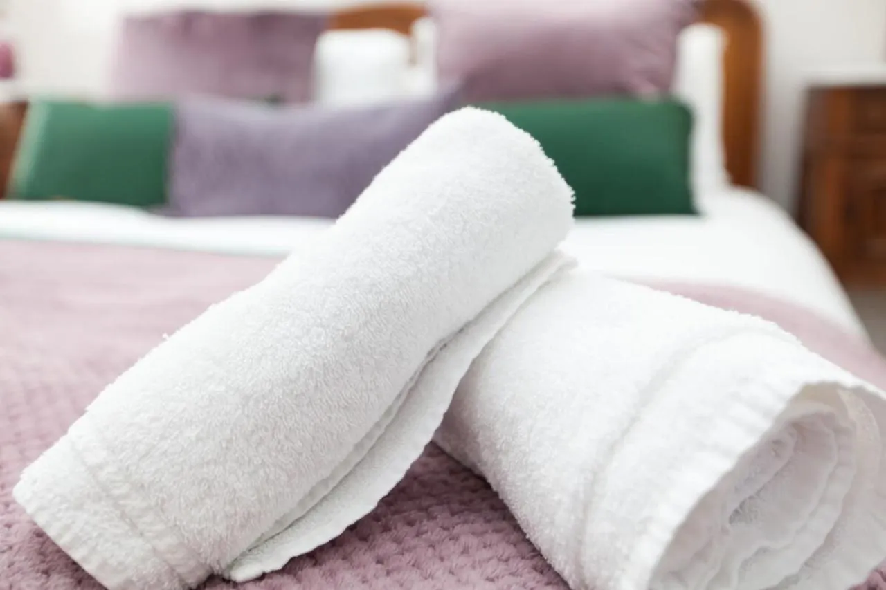 Traditional Luxury Apartment Sleeps 10 Edinburgh United Kingdom